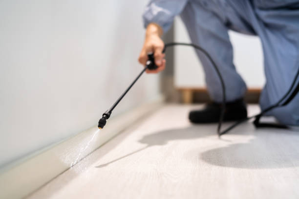 Licensed Termite Control service in Shingletown, CA - Nex Pest Control