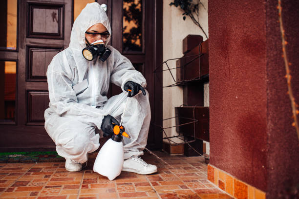 Reliable Termite Control contractor in Shingletown, CA by Nex Pest Control