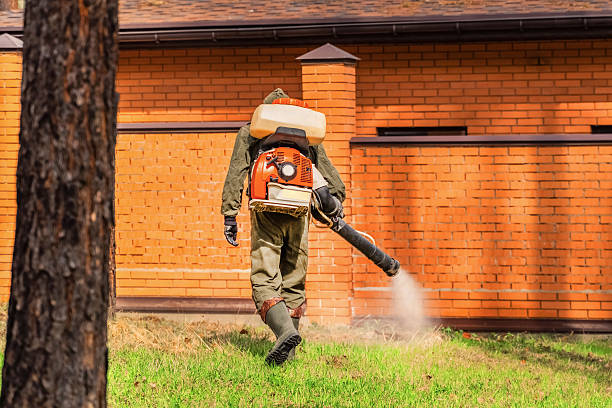 Top rated local Termite Control specialists in Shingletown, CA